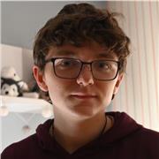 Profesor de filosofía, inglés y mate para niveles de primaria y ESO